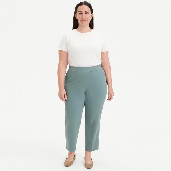 Isaac Mizrahi Live! Crepe Knit Straight Leg Pant - Pale Pine - Size 1XP - NWOT - Picture 1 of 8